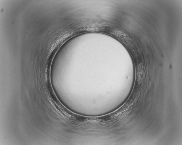 X0000057060299200510071414