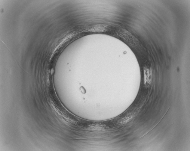 X0000057060300200510071413