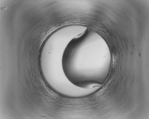 X0000057060301200510071413