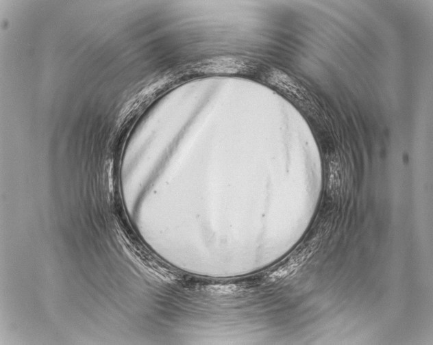 X0000057060302200510071413