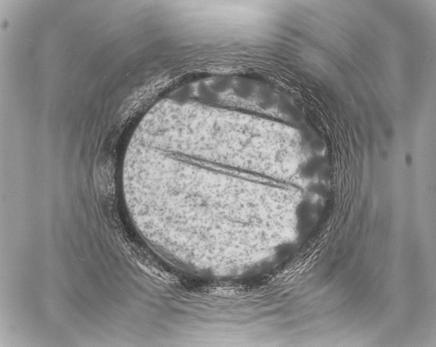 X0000057060303200510071413