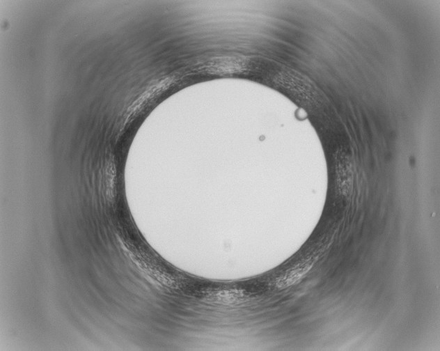 X0000057060304200510071413