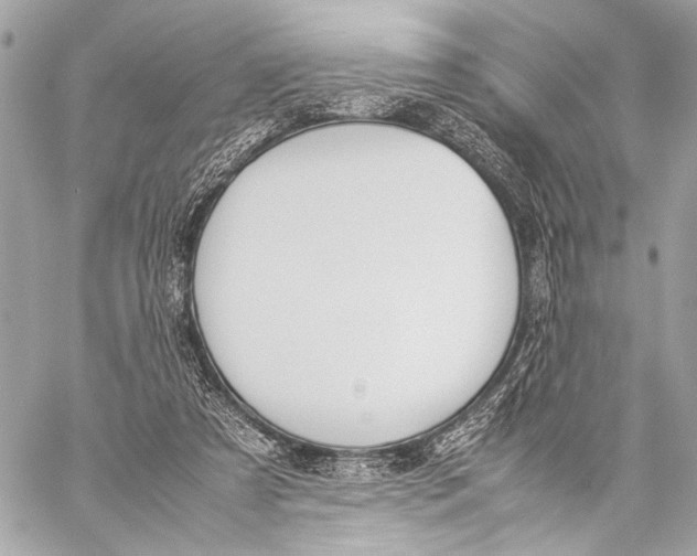 X0000057060305200510071413