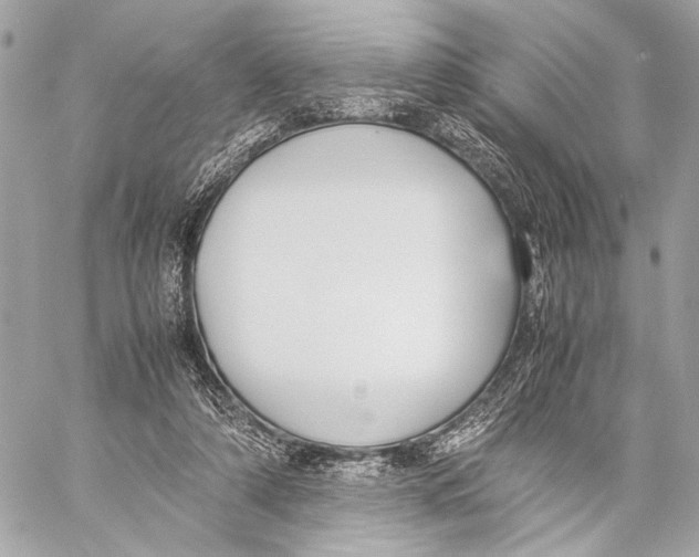 X0000057060306200510071413