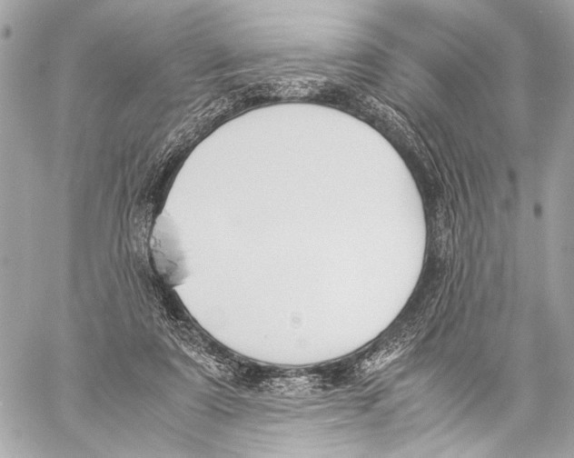 X0000057060307200510071413