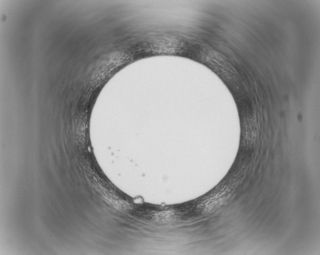 X0000057060309200510071413