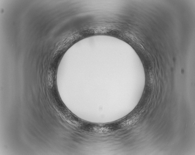 X0000057060311200510071413