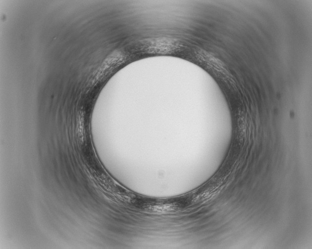 X0000057060312200510071413