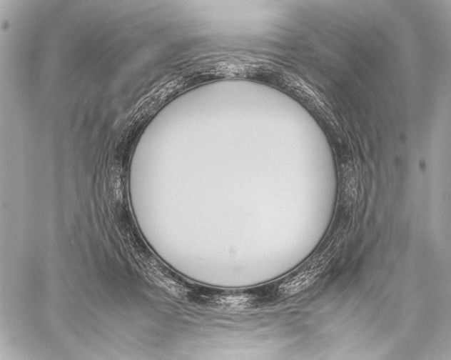 X0000057060313200510071413