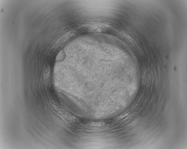 X0000057060314200510071413