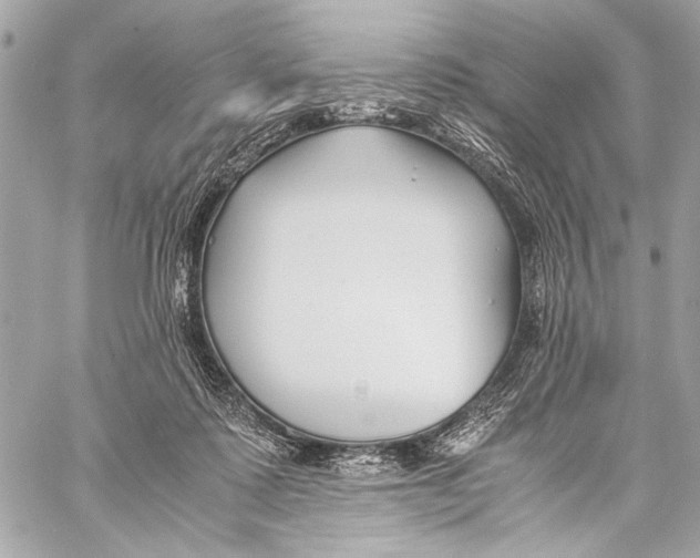 X0000057060315200510071413