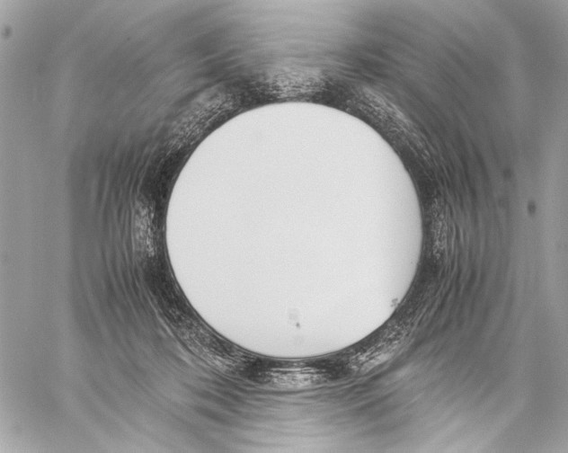 X0000057060316200510071413