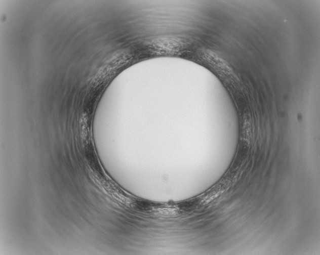 X0000057060318200510071413