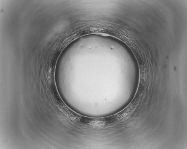 X0000057060319200510071413