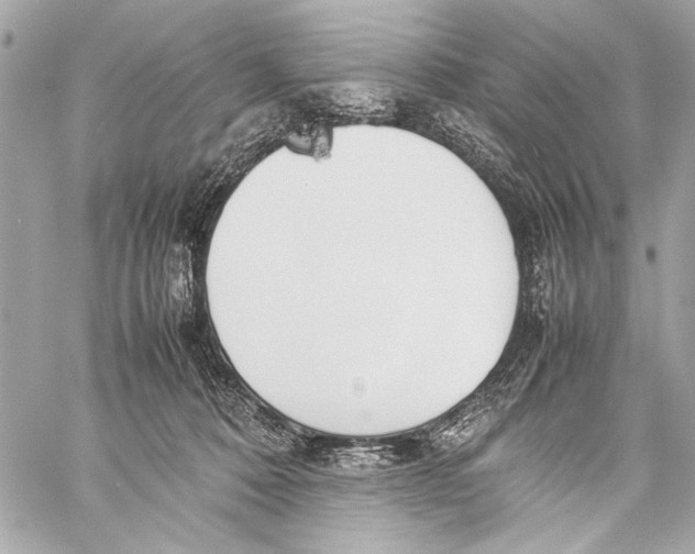 X0000057060320200510071413