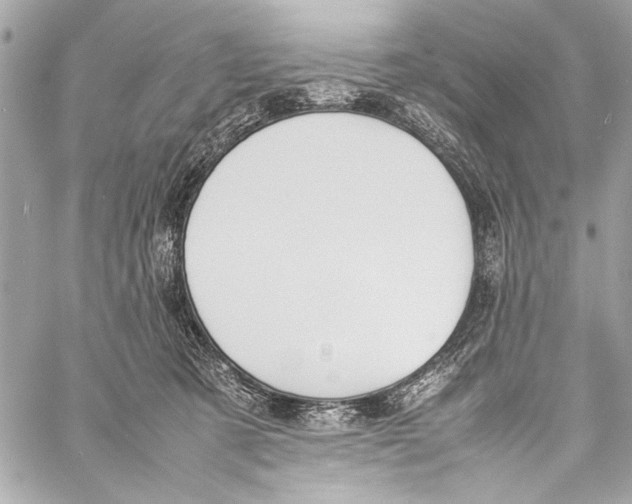 X0000057060321200510071413