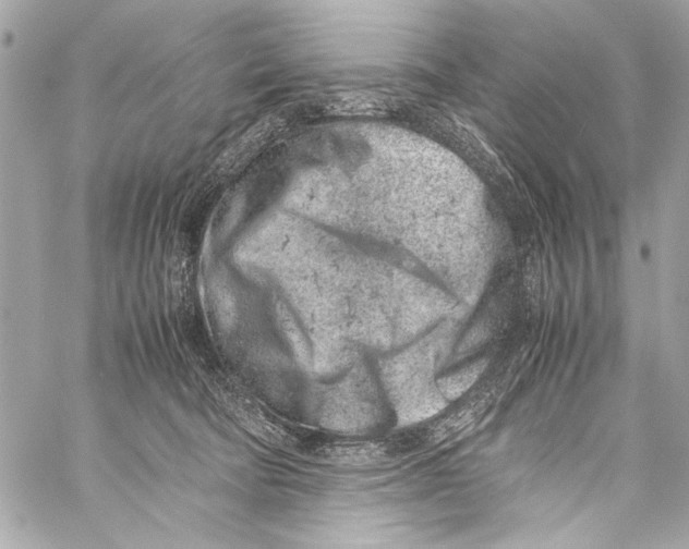 X0000057060322200510071413