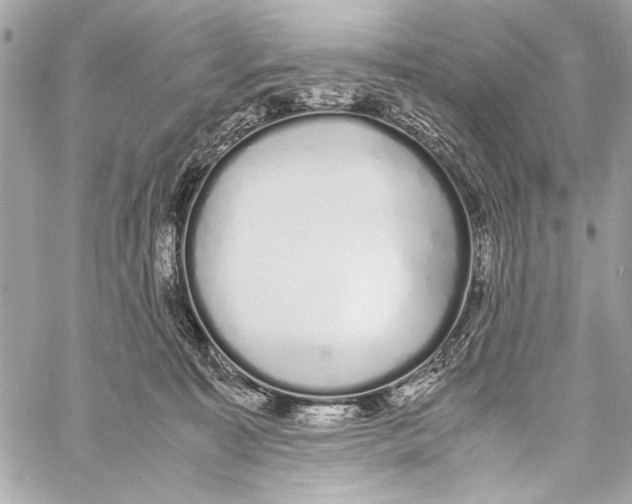 X0000057060323200510071413