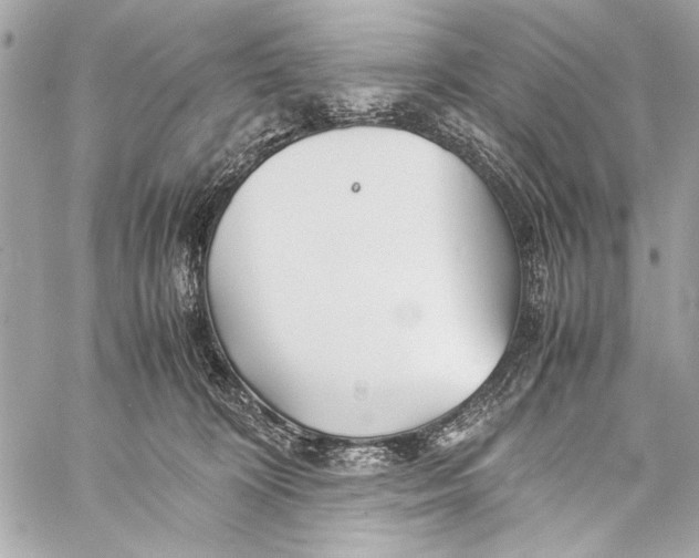 X0000057060324200510071413