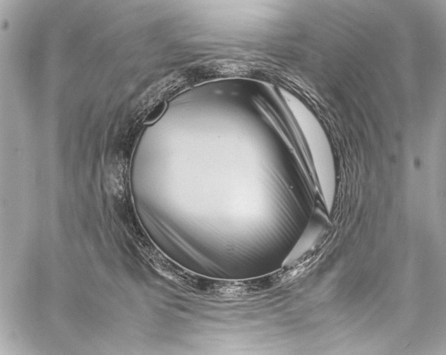 X0000057060325200510071413