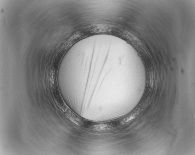 X0000057060326200510071413