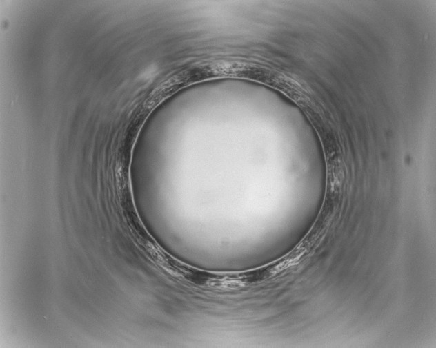 X0000057060327200510071413