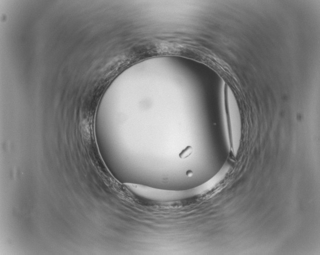 X0000057060329200510071413