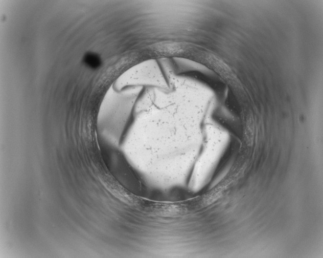 X0000057060330200510071413