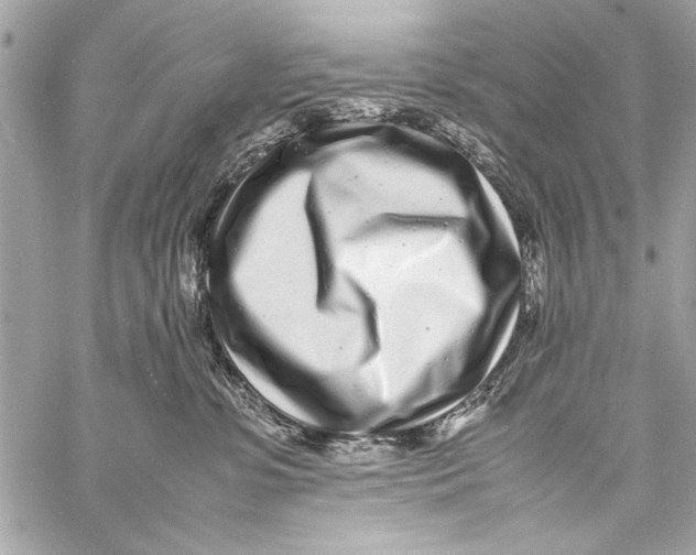 X0000057060331200510071413