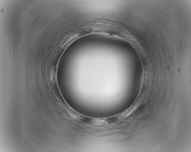 X0000057060333200510071413