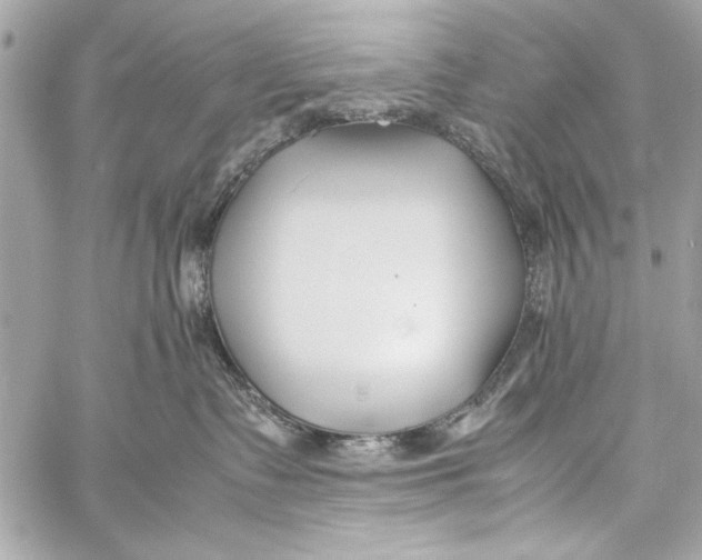 X0000057060335200510071413