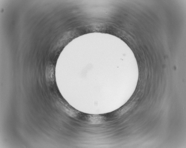 X0000057060336200510071413