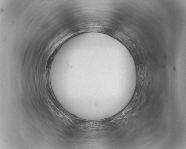 X0000057060338200510071412