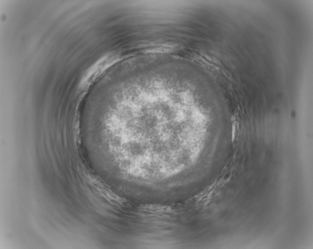 X0000057060339200510071412