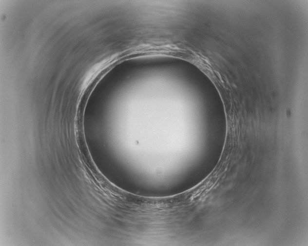 X0000057060340200510071412