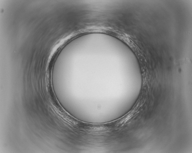 X0000057060342200510071412