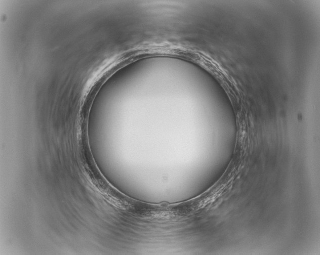 X0000057060344200510071412