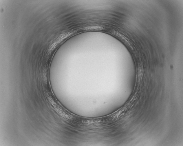 X0000057060345200510071412