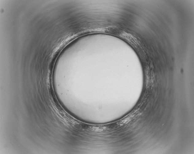 X0000057060346200510071412