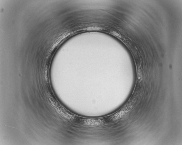 X0000057060347200510071412