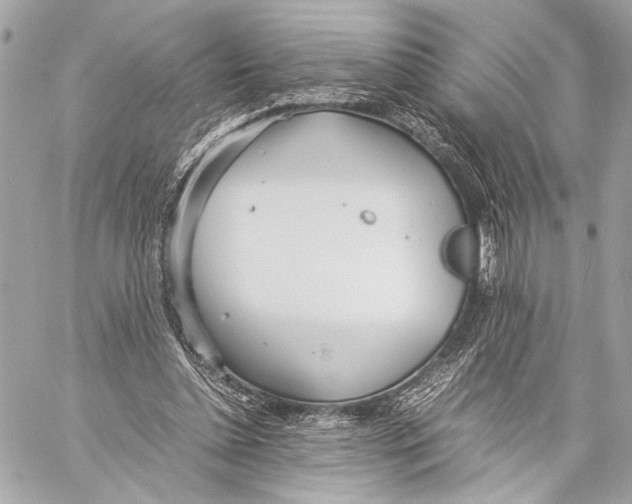 X0000057060348200510071412