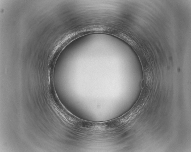 X0000057060350200510071412