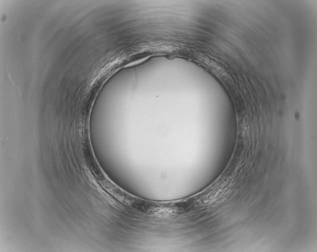 X0000057060352200510071412