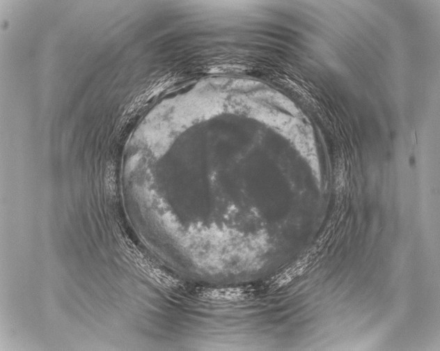 X0000057060353200510071412