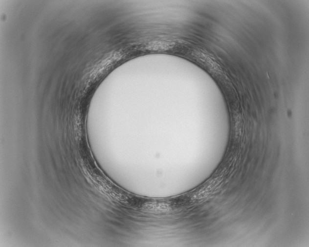 X0000057060354200510071412