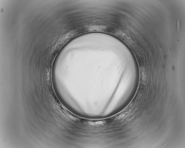 X0000057060357200510071412