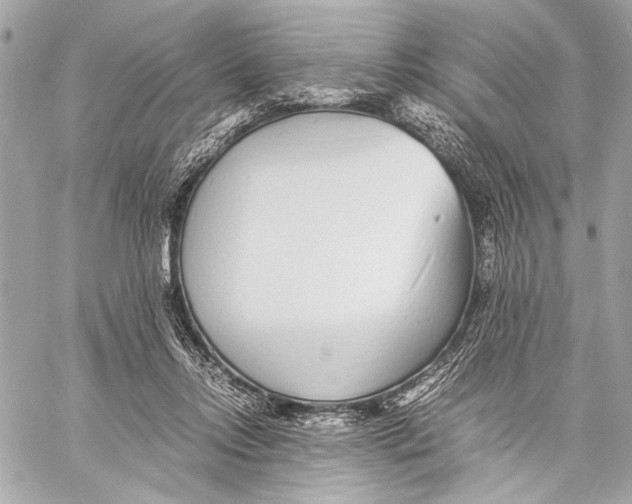 X0000057060358200510071412