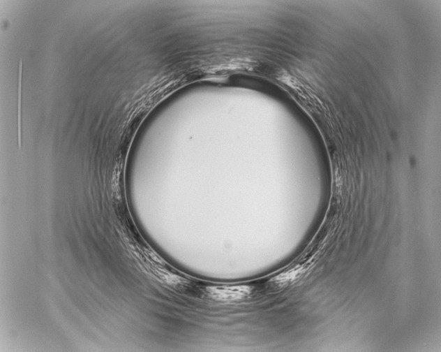 X0000057060359200510071412