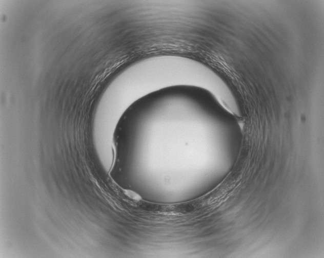 X0000057060360200510071412