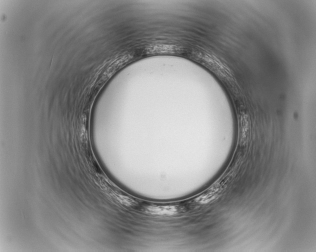 X0000057060361200510071412